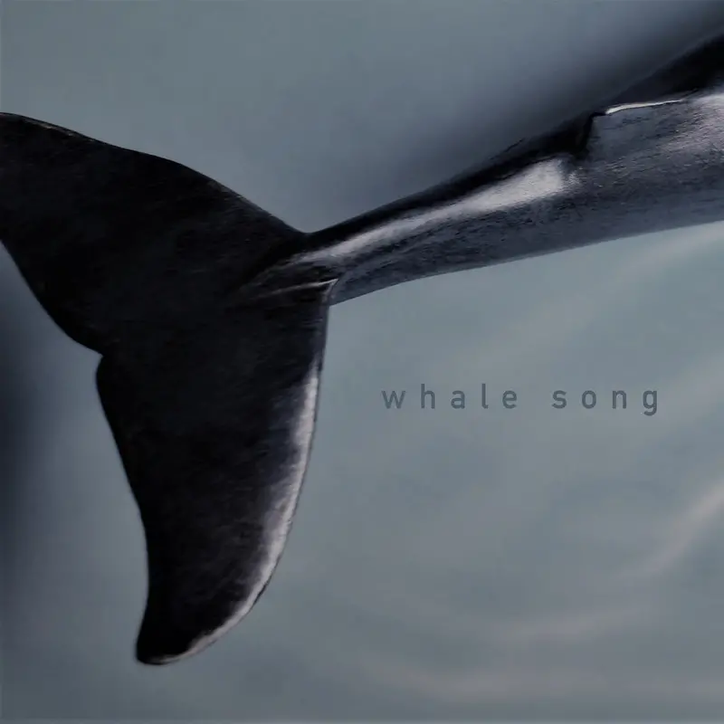 Whale Song クジラの愛の音楽CD